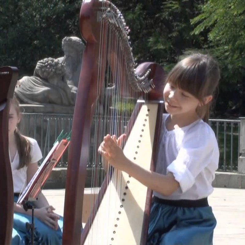 Stowarzyszenie Harfa Dzieciom